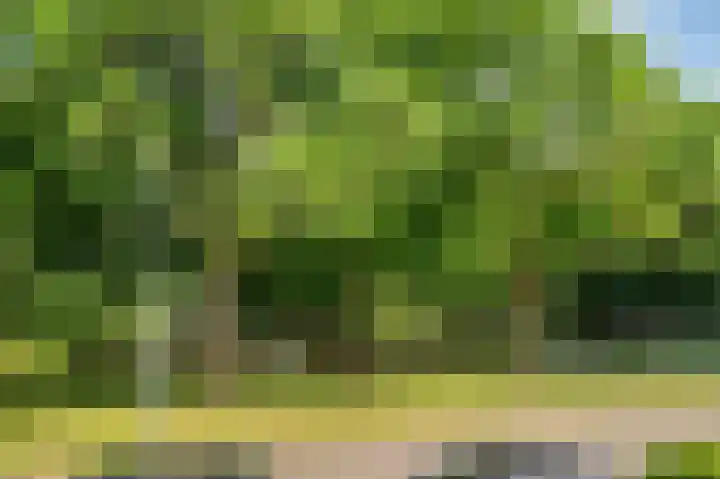 Rijnbeekstraat 2 D Venlo thumbnail 19