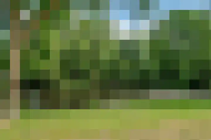 Rijnbeekstraat 2 D Venlo thumbnail 40