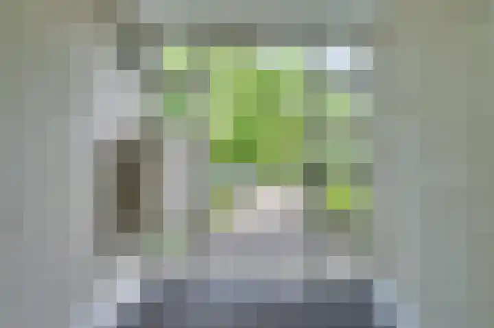 Rijnbeekstraat 2 D Venlo thumbnail 5