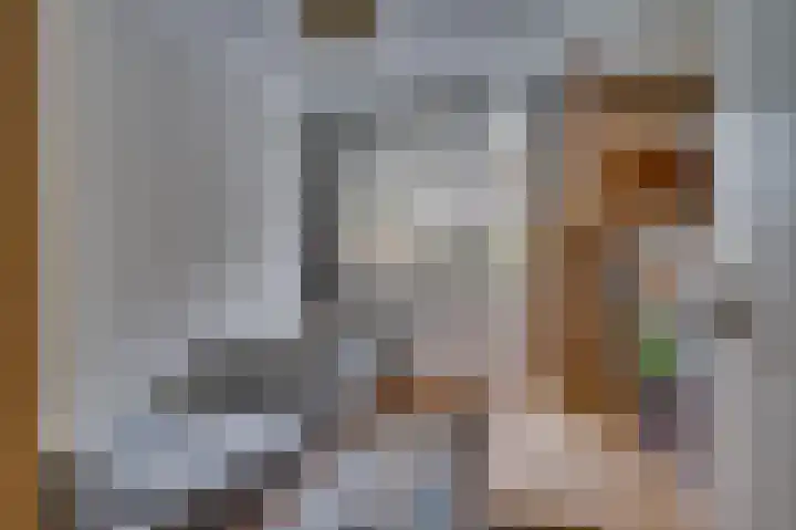 Rijnbeekstraat 236 Venlo thumbnail 19