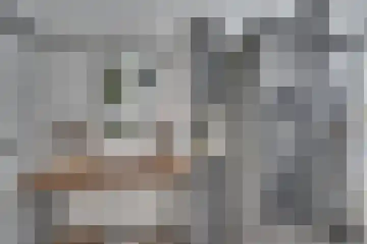 Rijnbeekstraat 236 Venlo thumbnail 8