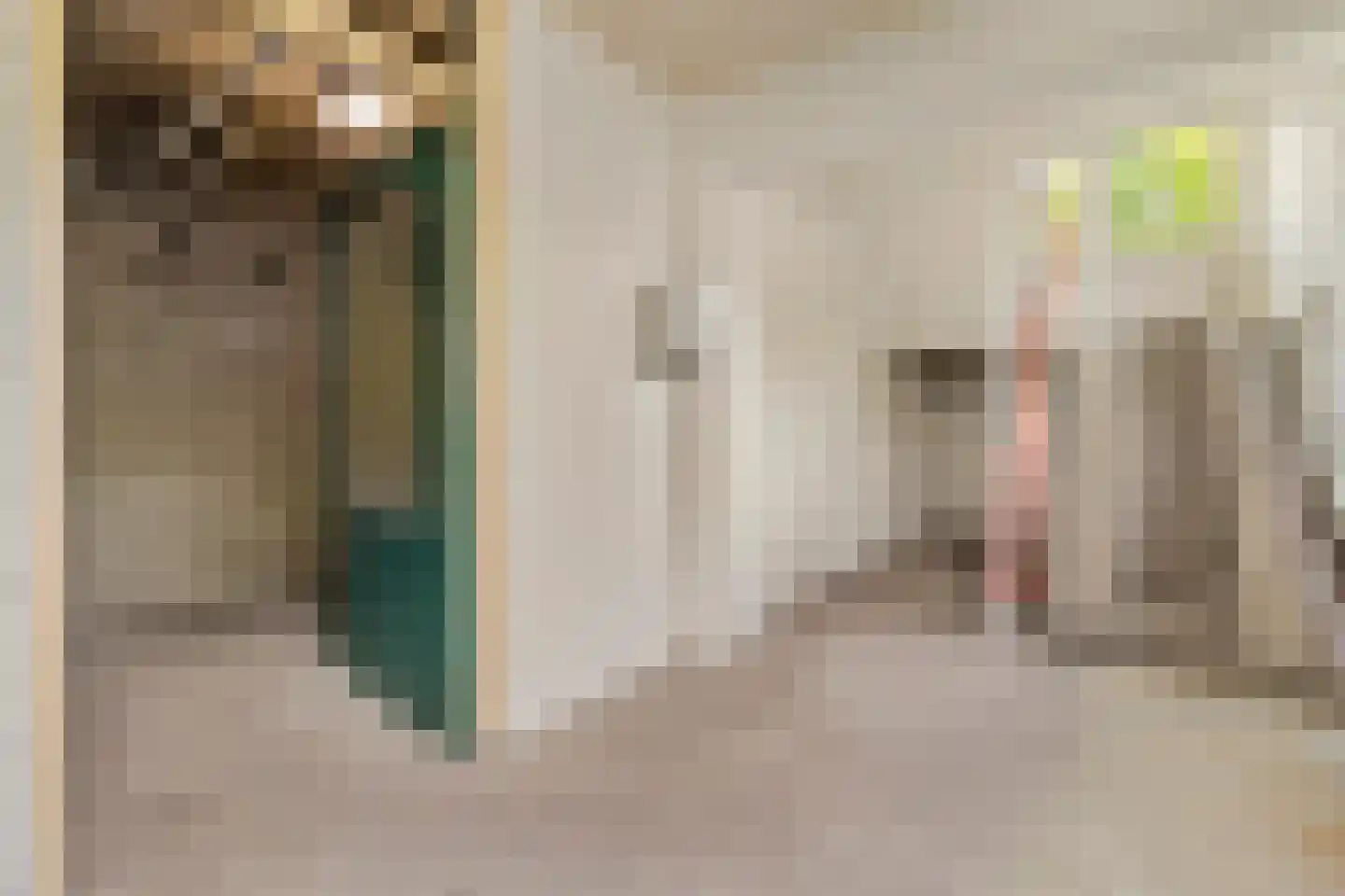 Rijnbeekstraat 270 Venlo thumbnail 17