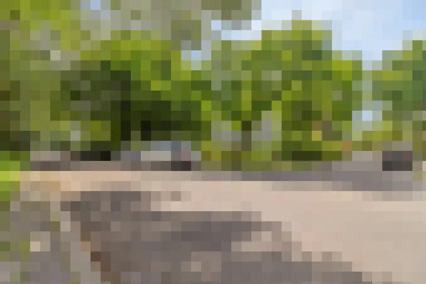 Rijnbeekstraat 270 Venlo thumbnail 20