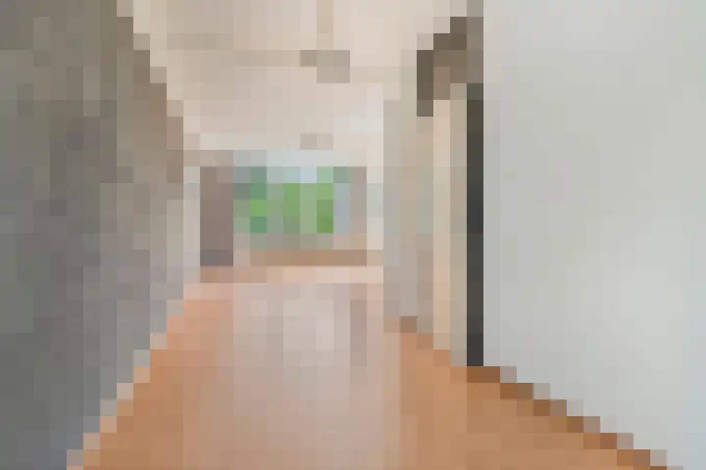 Rijnbeekstraat 270 Venlo thumbnail 6