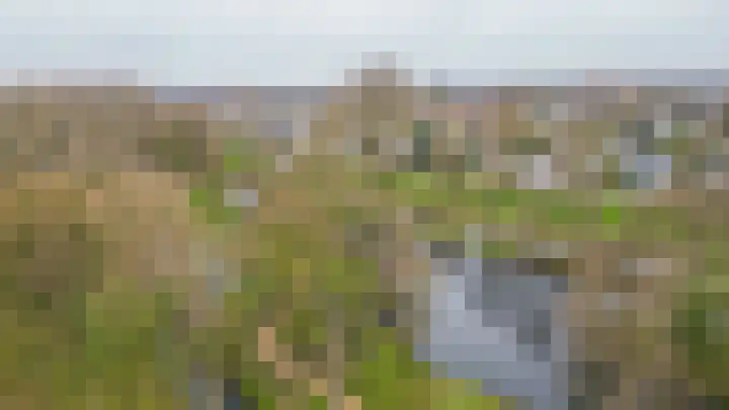 Rijnbeekstraat 290 Venlo thumbnail 24