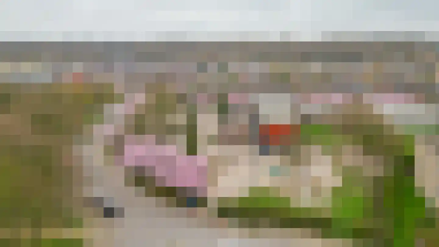 Rijnbeekstraat 290 Venlo thumbnail 25