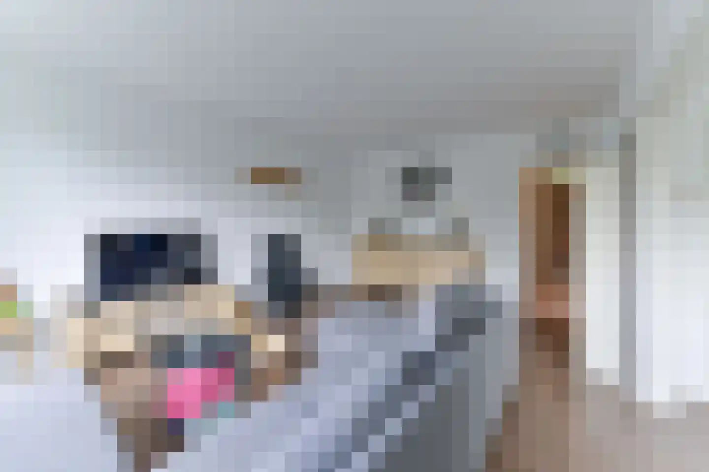 Rijnbeekstraat 35 Venlo thumbnail 10