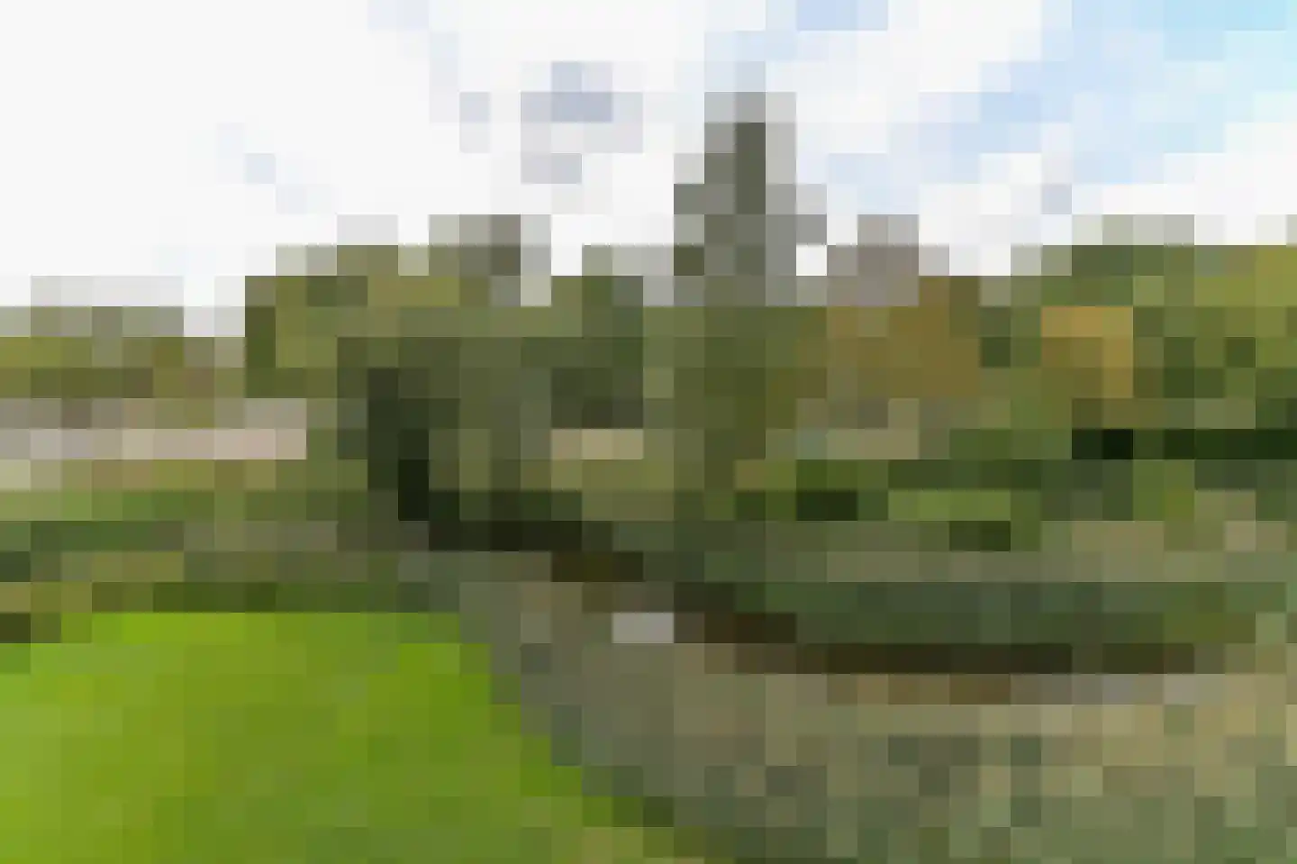 Rijnbeekstraat 35 Venlo thumbnail 17