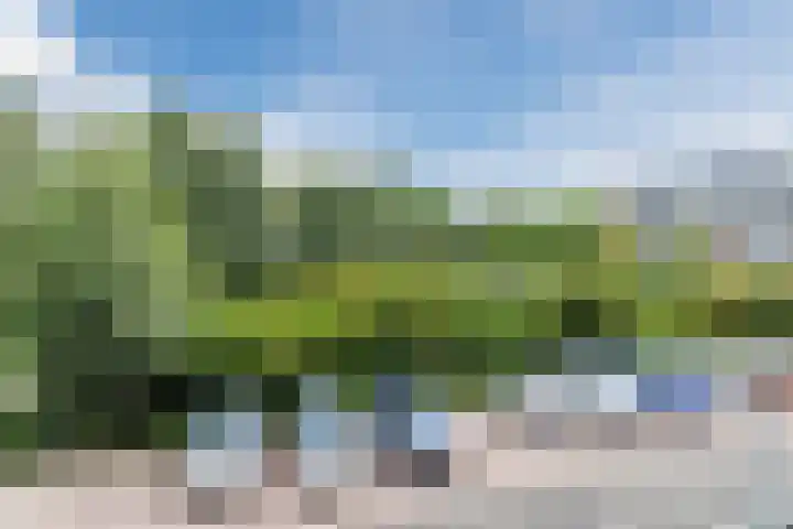 Rijnbeekstraat 358 Venlo thumbnail 8