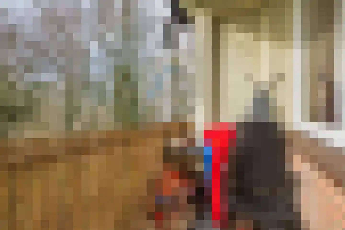 Rijnbeekstraat 362 Venlo thumbnail 18