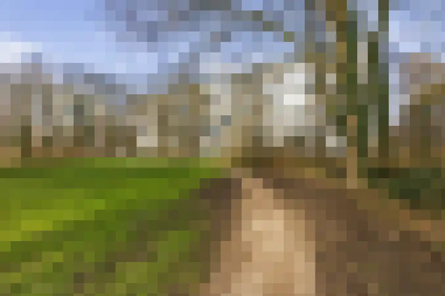 Rijnbeekstraat 362 Venlo thumbnail 28