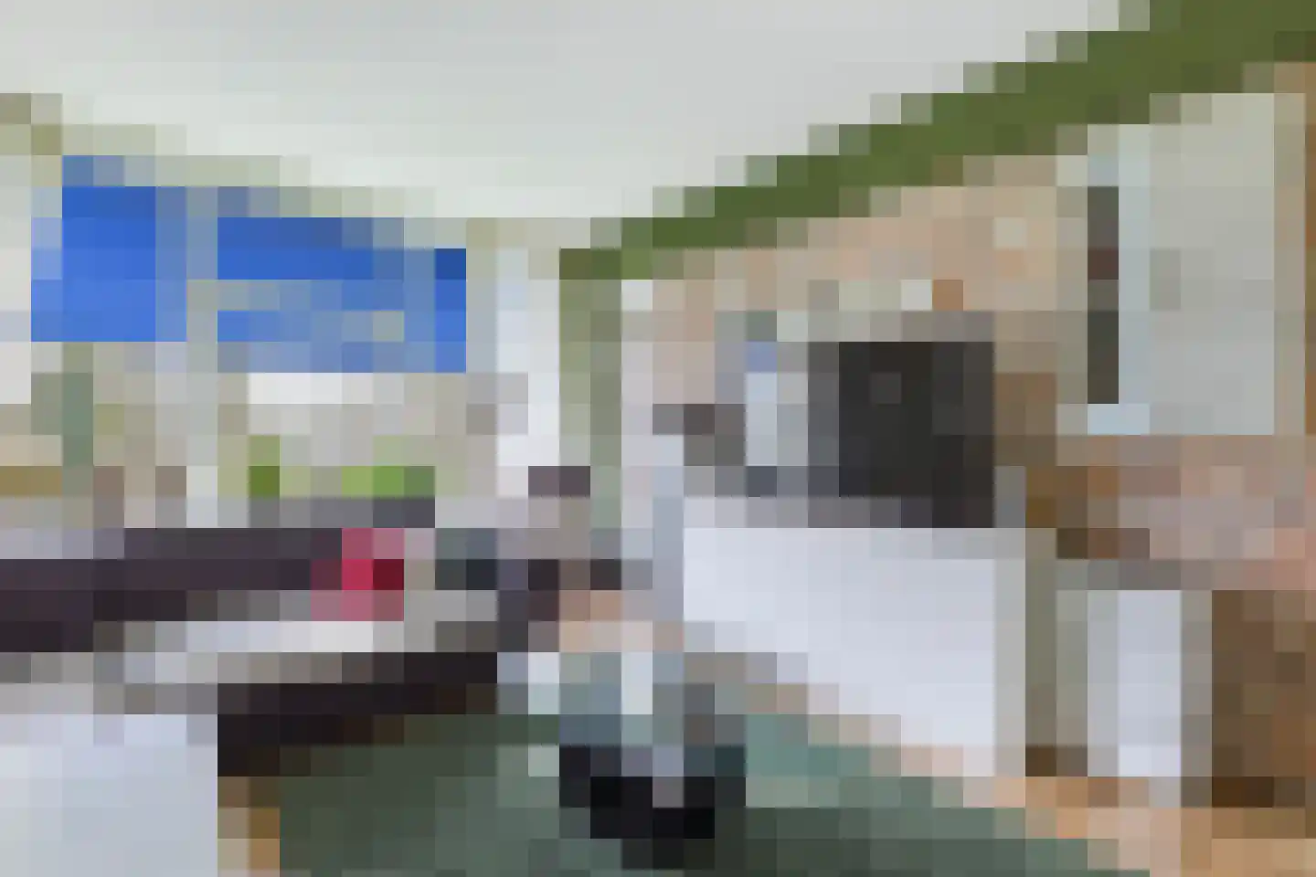 Rijnbeekstraat 362 Venlo thumbnail 4