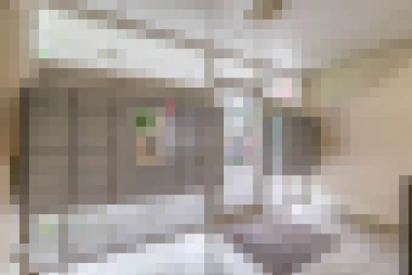 Rijnbeekstraat 366 Venlo thumbnail 17