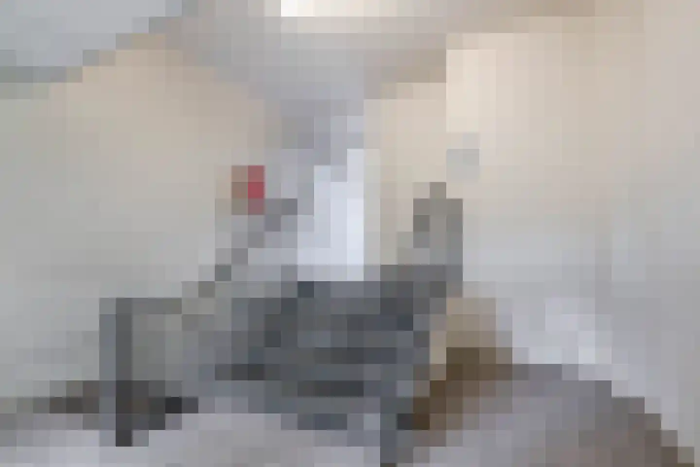 Rijnbeekstraat 366 Venlo thumbnail 18