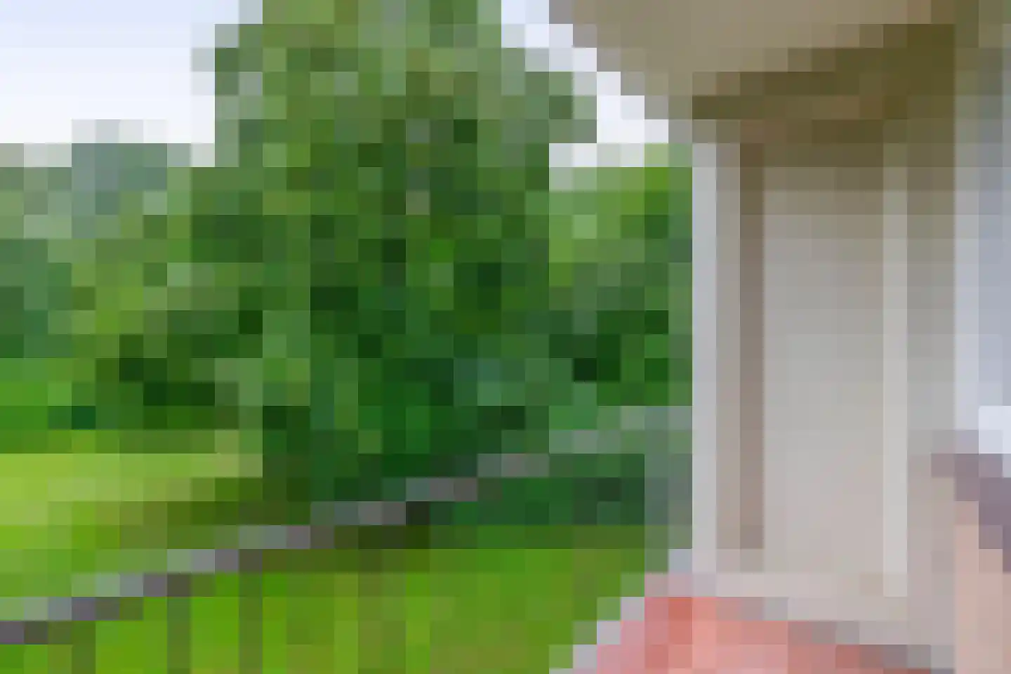 Rijnbeekstraat 366 Venlo thumbnail 7