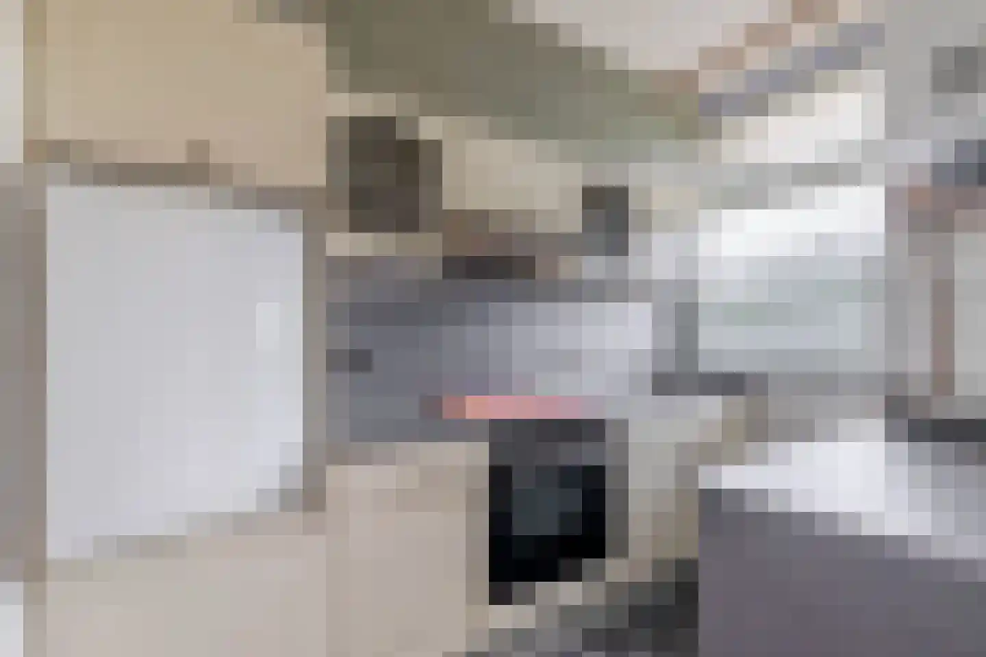 Rijnbeekstraat 366 Venlo thumbnail 9