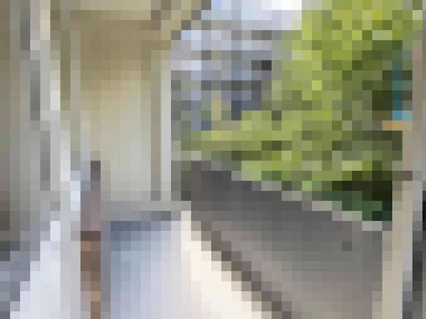 Rijnbeekstraat 368 Venlo thumbnail 8