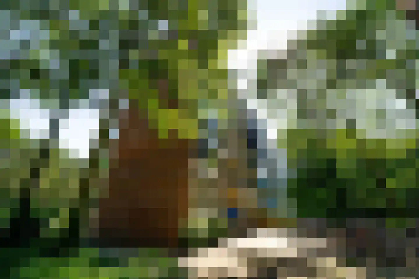 Rijnbeekstraat 392 Venlo thumbnail 32