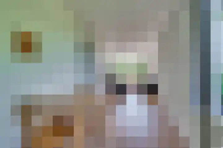 Rijnbeekstraat 404 Venlo thumbnail 5