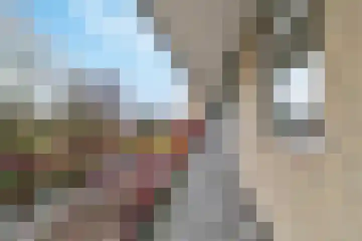 Rijnbeekstraat 69 Venlo thumbnail 14