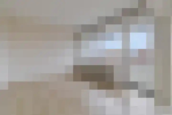 Rijnbeekstraat 69 Venlo thumbnail 4