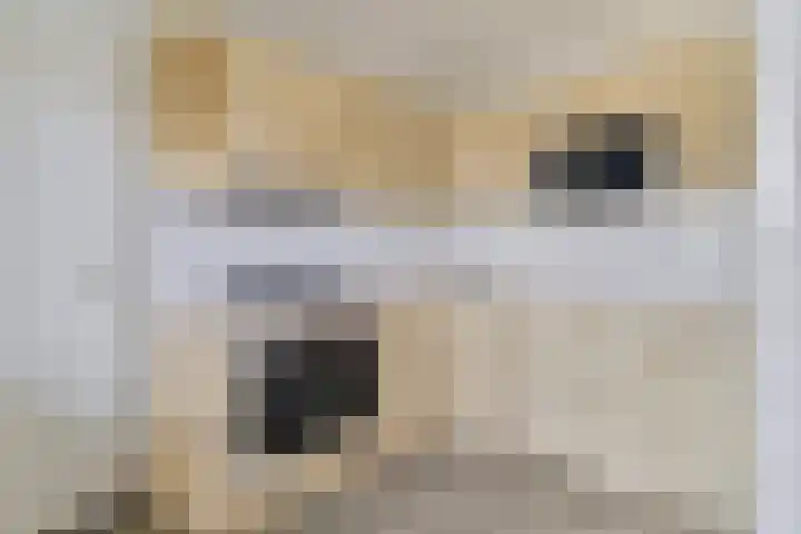 Rijnbeekstraat 69 Venlo thumbnail 7