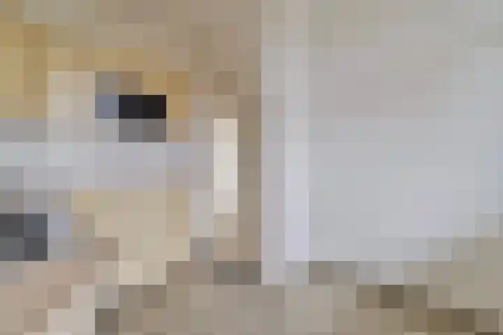 Rijnbeekstraat 69 Venlo thumbnail 8