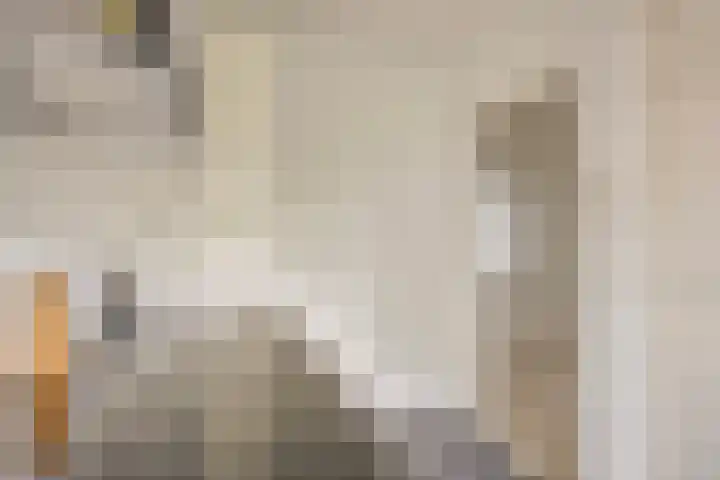Rijnbeekstraat 97 Venlo thumbnail 13