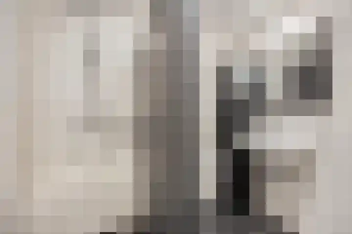 Rijnbeekstraat 97 Venlo thumbnail 18