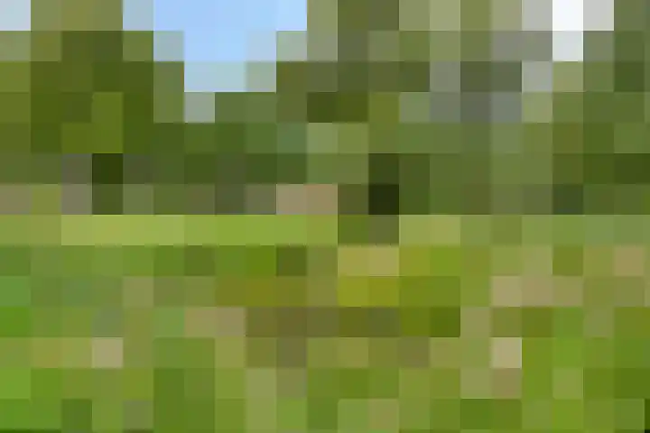 Rijnbeekstraat 97 Venlo thumbnail 21