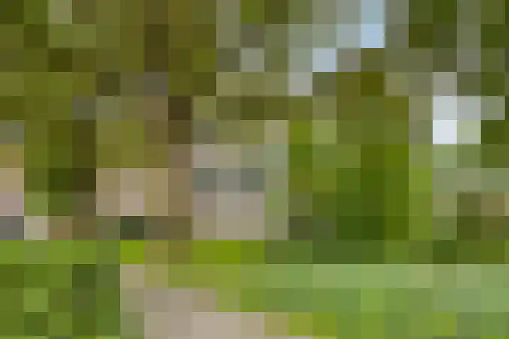 Rijnbeekstraat 97 Venlo thumbnail 22