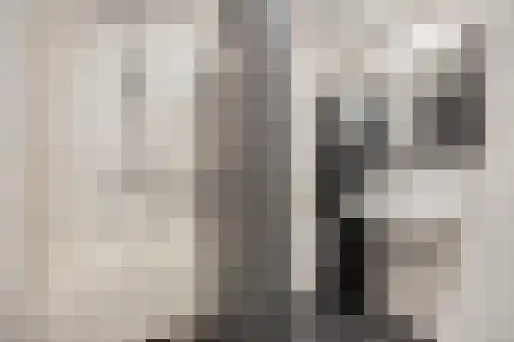 Rijnbeekstraat 97 Venlo thumbnail 4