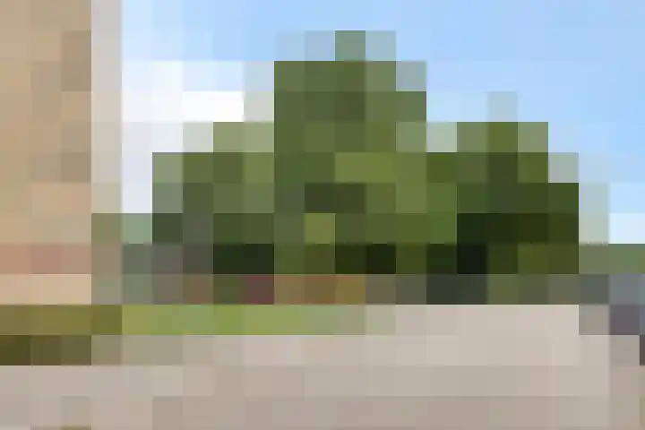Rijnbeekstraat 97 Venlo thumbnail 5