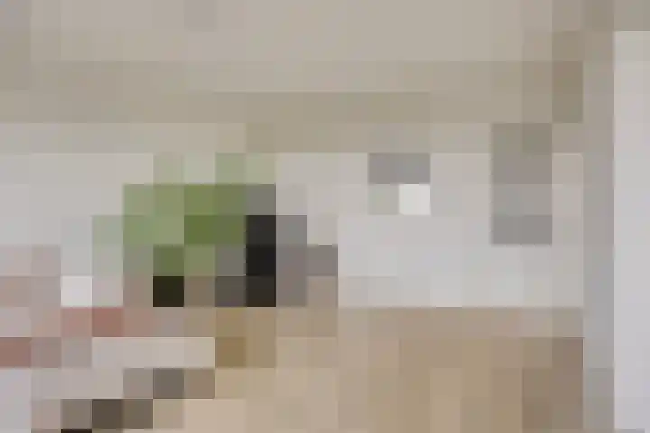Rijnbeekstraat 97 Venlo thumbnail 9