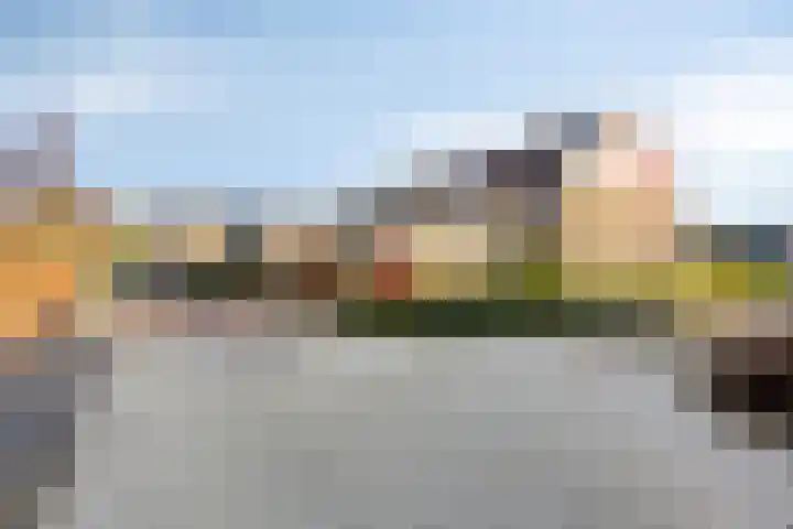 Rijndal 105 Capelle aan den IJssel thumbnail 24