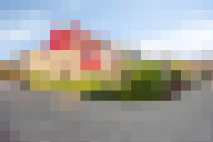 Rijndal 105 Capelle aan den IJssel thumbnail 25