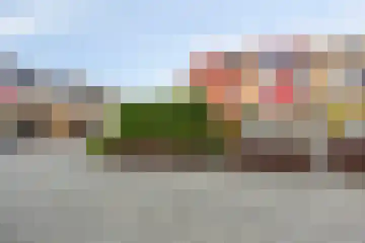 Rijndal 105 Capelle aan den IJssel thumbnail 26