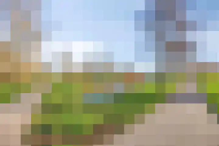 Rijndal 105 Capelle aan den IJssel thumbnail 30