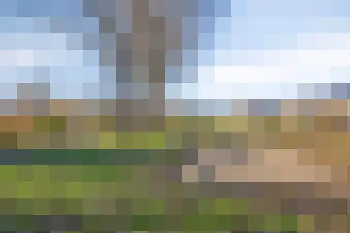 Rijndal 105 Capelle aan den IJssel thumbnail 31
