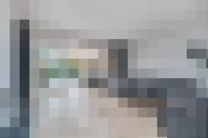 Rijndal 3 Capelle aan den IJssel thumbnail 10