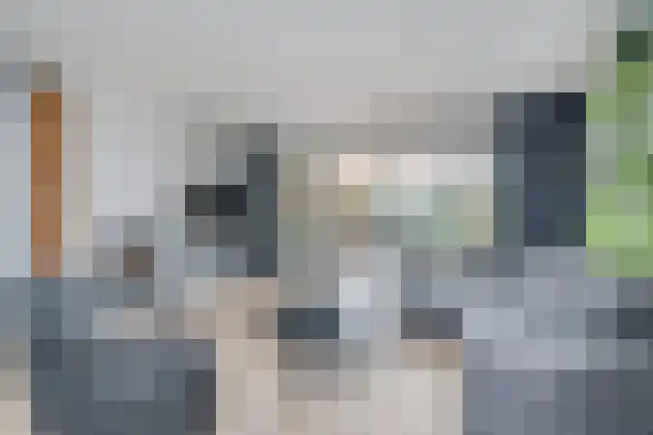 Rijndal 3 Capelle aan den IJssel thumbnail 11