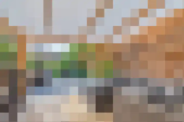 Rijndal 3 Capelle aan den IJssel thumbnail 13