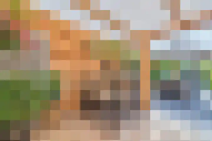 Rijndal 3 Capelle aan den IJssel thumbnail 14