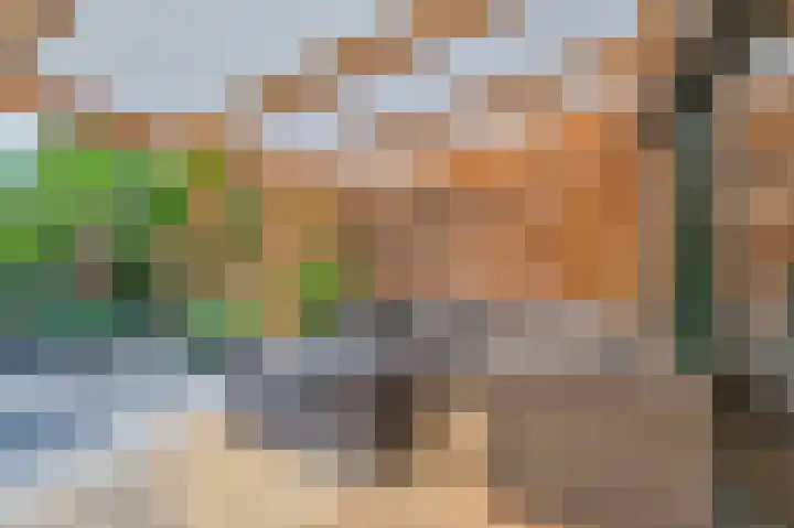 Rijndal 3 Capelle aan den IJssel thumbnail 15