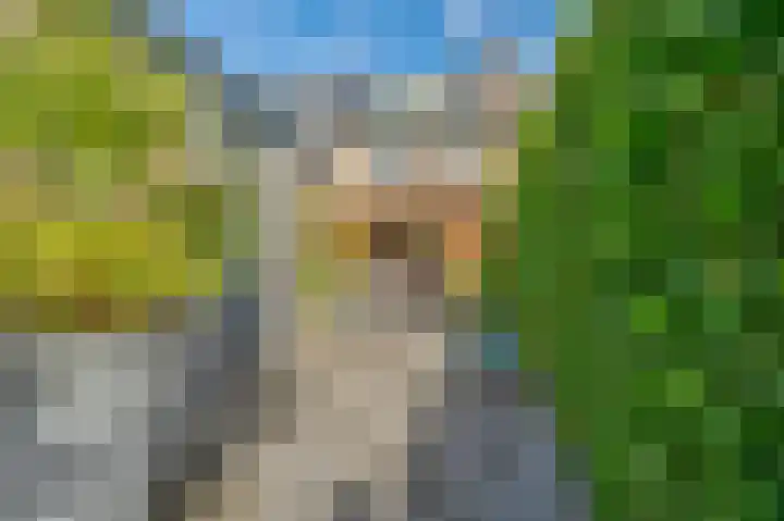 Rijndal 3 Capelle aan den IJssel thumbnail 18