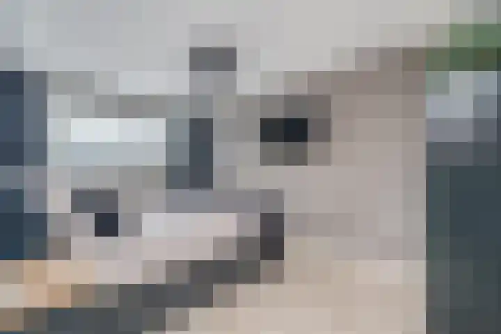Rijndal 3 Capelle aan den IJssel thumbnail 21