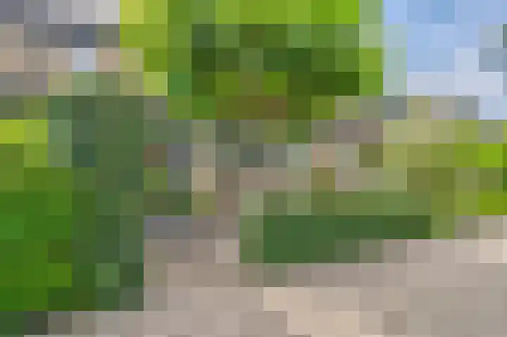 Rijndal 3 Capelle aan den IJssel thumbnail 29