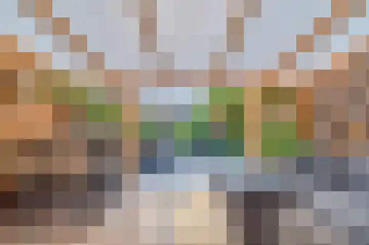 Rijndal 3 Capelle aan den IJssel thumbnail 4
