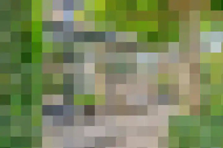 Rijndal 3 Capelle aan den IJssel thumbnail 5