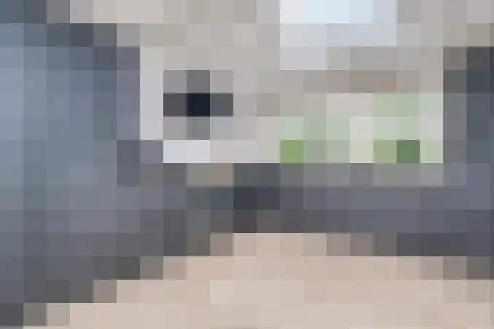 Rijndal 3 Capelle aan den IJssel thumbnail 6